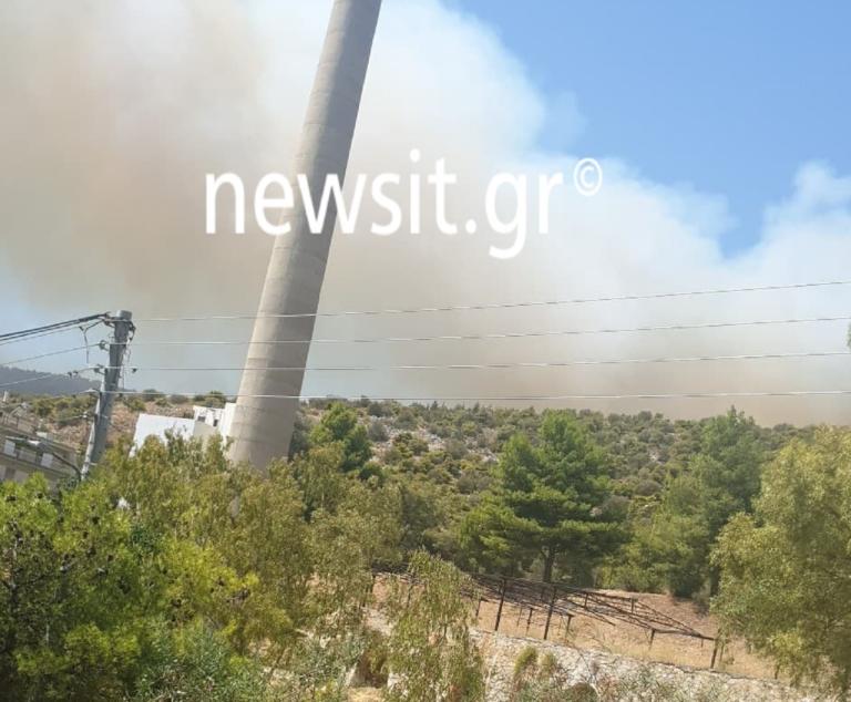 Μεγάλη φωτιά ξέσπασε στον Ασπρόπυργο | tlife.gr