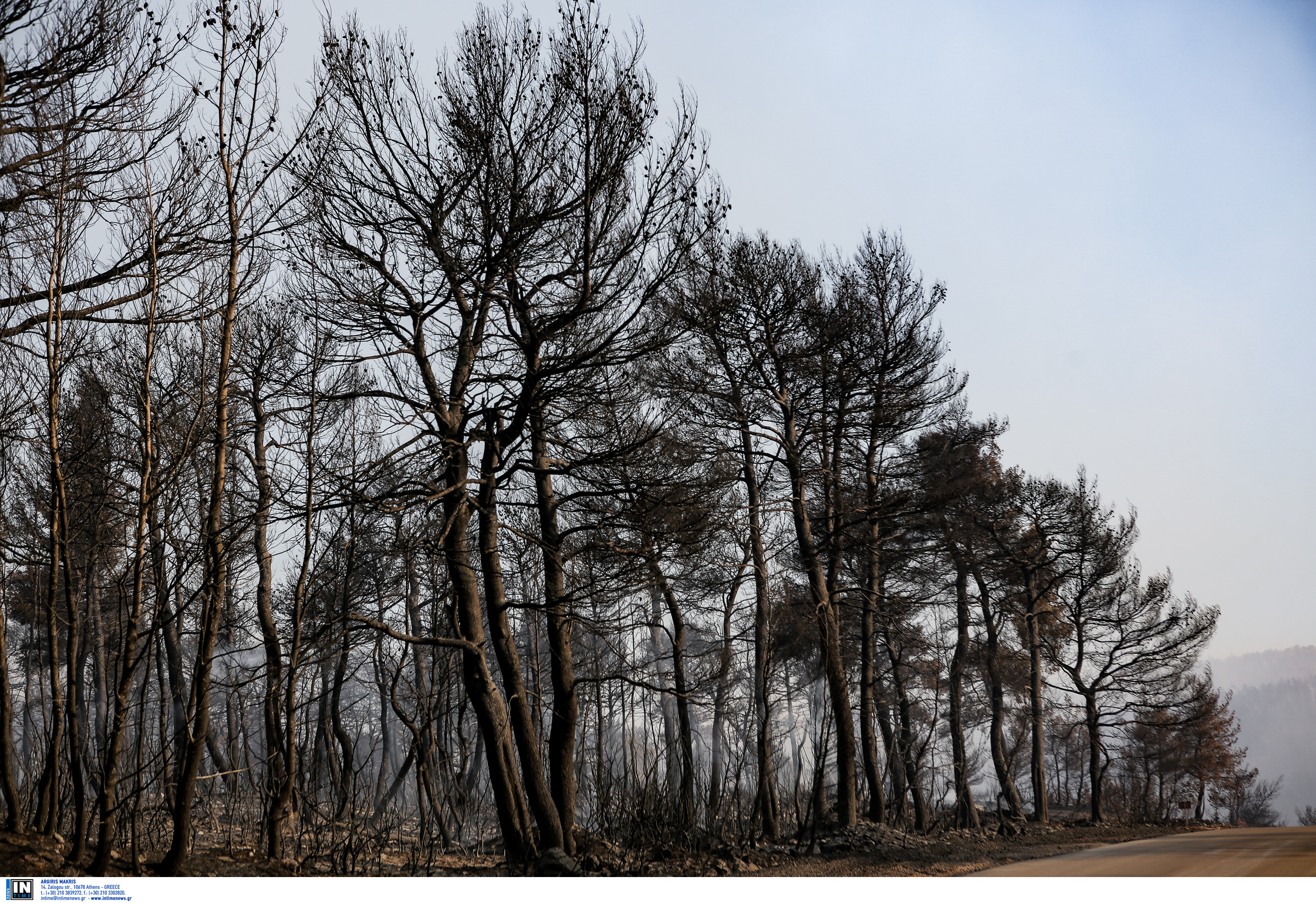 25.000 στρέμματα κάηκαν στην Εύβοια – Μάχη με τις αναζωπυρώσεις