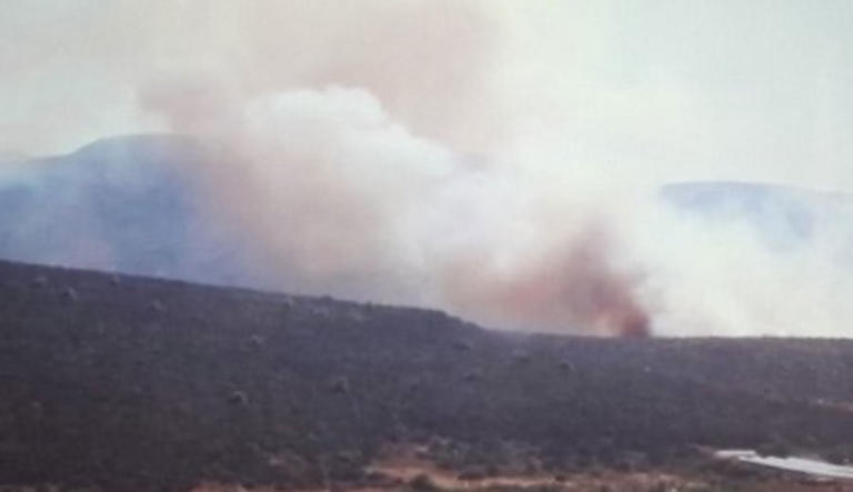 Μεγάλη φωτιά στον Μαραθώνα – Καίει δασική έκταση κοντά σε σπίτια