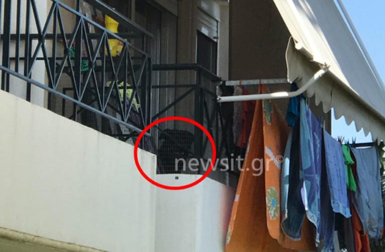 Συγκλονίζει η κατάθεση της μητέρας: “Άρπαξε το μωρό με τα δόντια και άρχισε να το χτυπάει σε τοίχους και έπιπλα”