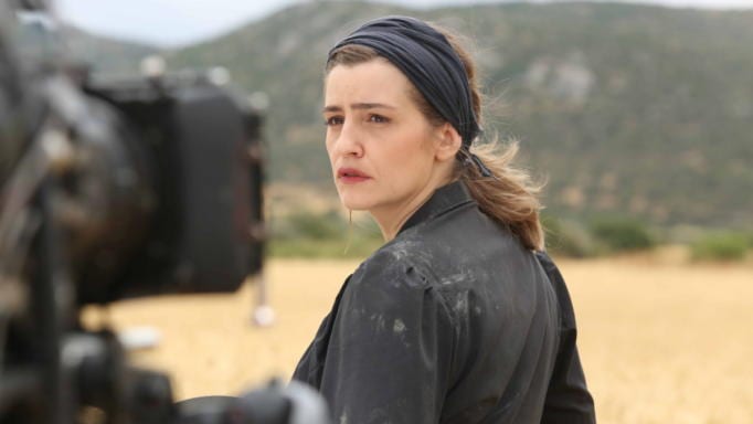 Άγριες Μέλισσες: Και όμως… το κόστος είναι χαμηλότερο από αυτό που νομίζεις!