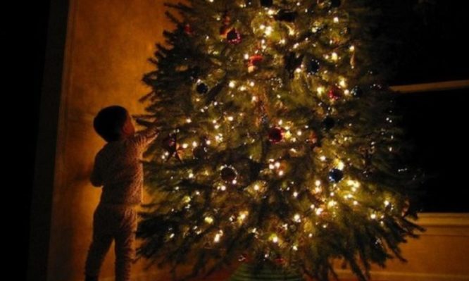 Ποιος στόλισε το πρώτο χριστουγεννιάτικο δέντρο στην Ελλάδα;