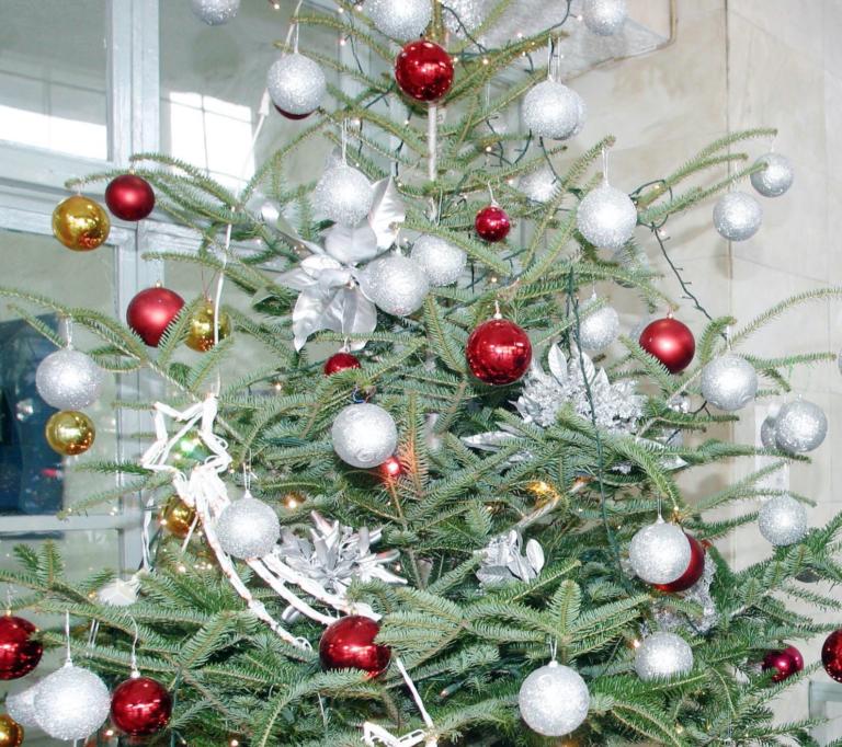 Κοίταξε στο χριστουγεννιάτικο δέντρο και αυτό που είδε δεν ήταν μπάλα!