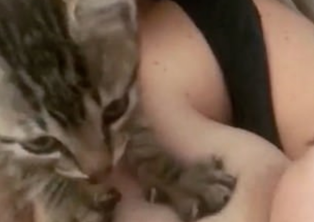 Η γάτα που έγινε viral! Βοηθά μητέρα να θηλάσει το μωρό, πιέζοντας το στήθος της! [video]