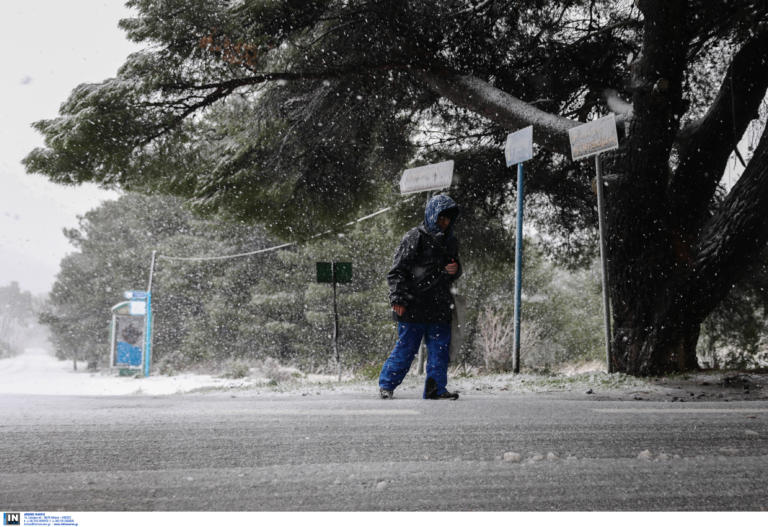 Καιρός: Στην κατάψυξη! Χιόνια, πολικές θερμοκρασίες και θυελλώδεις άνεμοι