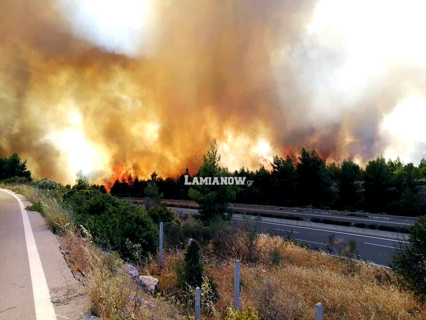 Μεγάλη φωτιά στο Μαρτίνο! Κίνδυνος να περάσει την εθνική οδό και να φτάσει στο χωριό!