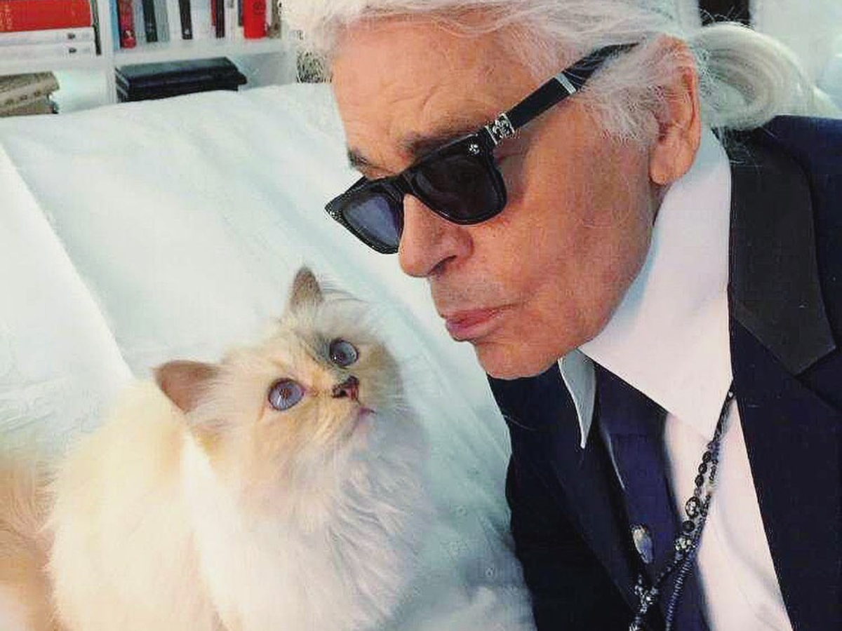 Η γάτα του Karl Lagerfeld λανσάρει μία… αιώρα για κατοικίδια!