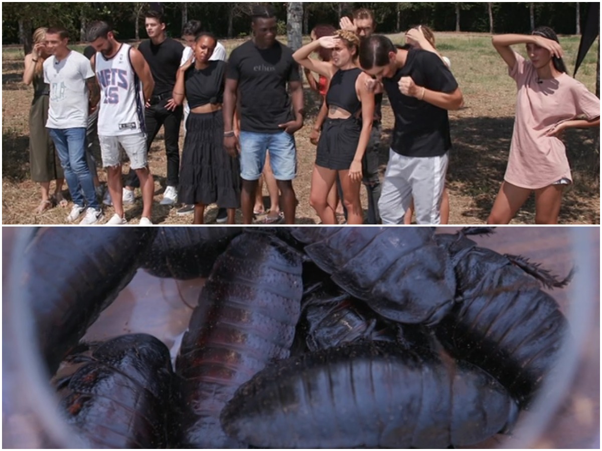 GNTM: Η πιο αποκρουστική φωτογράφιση – Θα βάλουν ζωύφια στο πρόσωπό τους (vids)
