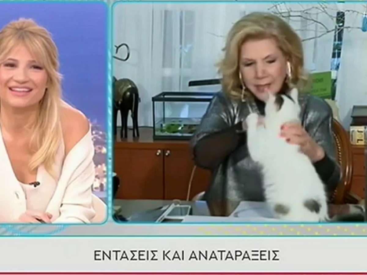 Λίτσα Πατέρα: Απίστευτο σκηνικό στο Πρωινό – Της επιτέθηκε η γάτα
