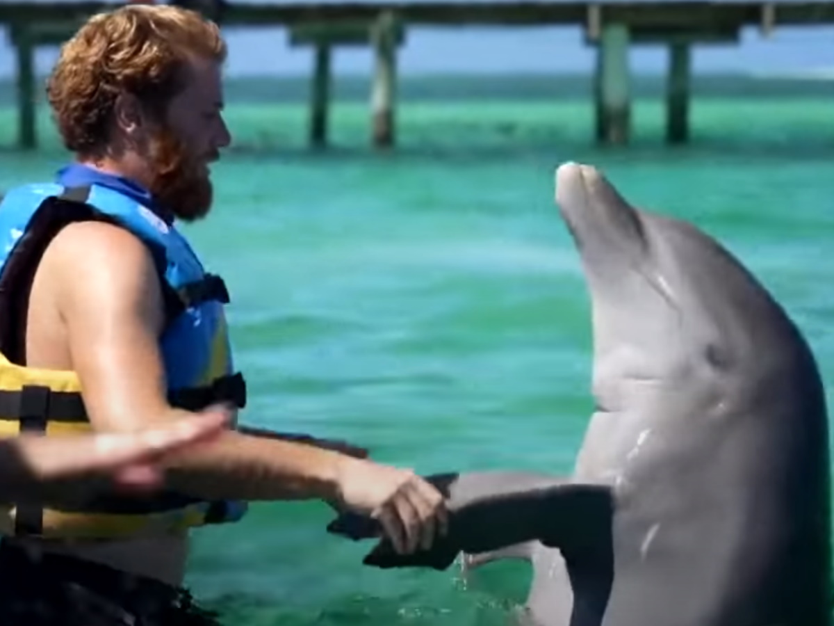 Survivor: Σάλος στο twitter για το χθεσινό έπαθλο με τα δελφίνια – Μηνύματα οργής