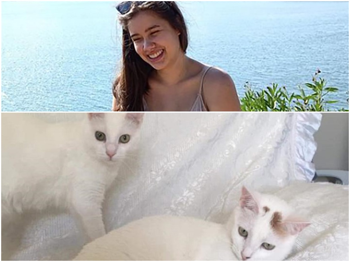 Γλυκά νερά: Ζητείται οικογένεια για να υιοθετήσει τις γάτες της άτυχης Καρολάιν