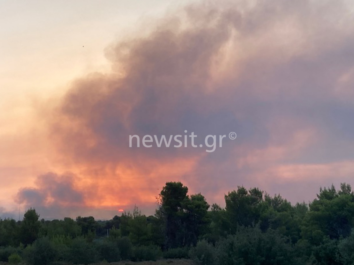 Φωτιά στην Βαρυμπόμπη: Τιτάνια μάχη με τις φλόγες, ανυπολόγιστη η καταστροφή – Καμένα σπίτια, περιουσίες και ζώα