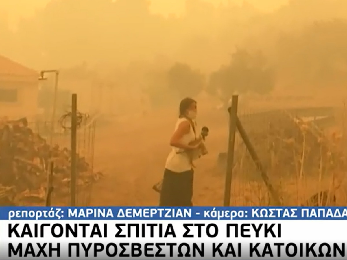Φωτιές στην Εύβοια: Η συγκινητική στιγμή που δημοσιογράφος της ΕΡΤ σώζει ένα γατάκι – βίντεο