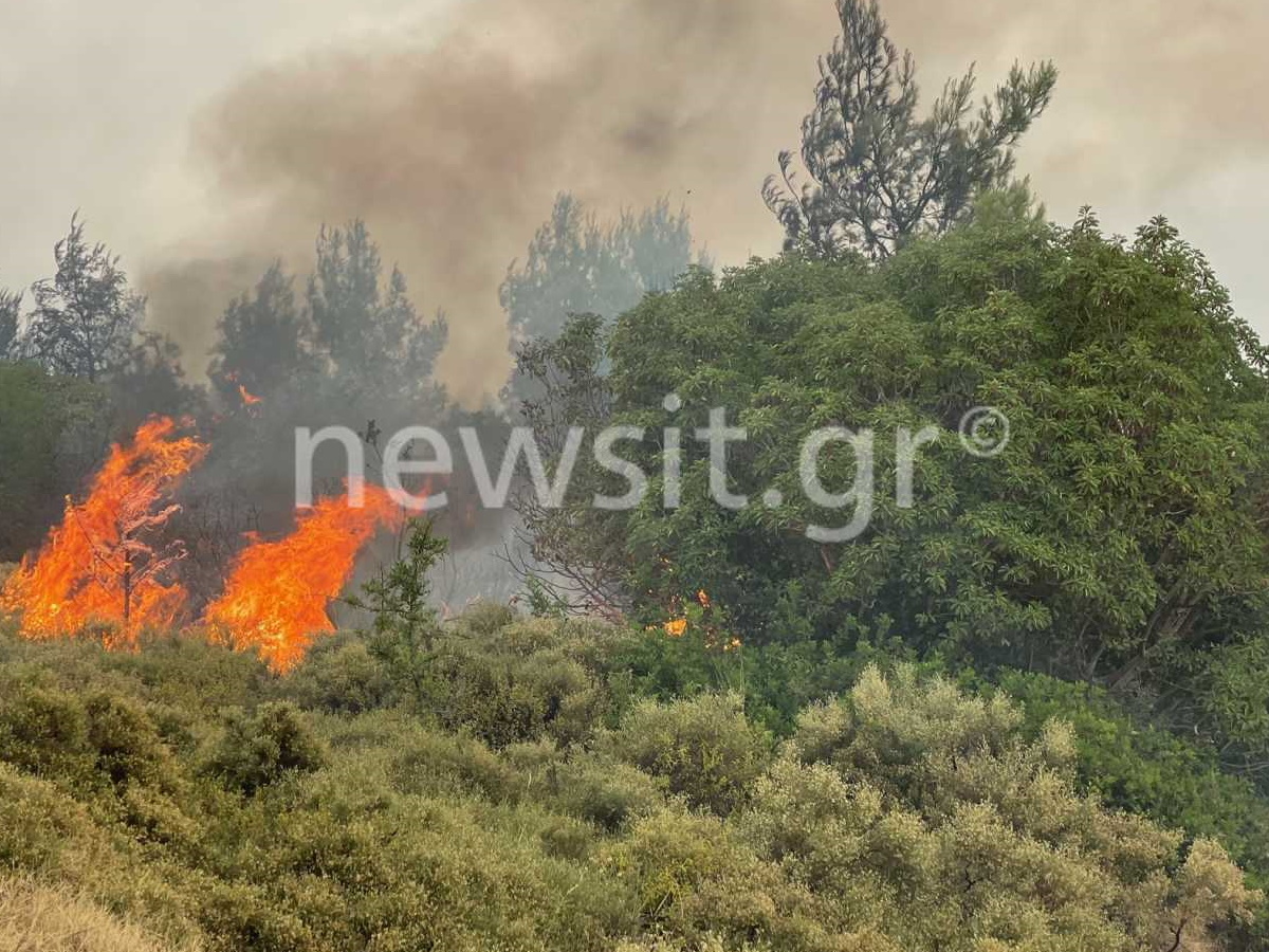 Φωτιά στην Αττική: 9 οι τραυματίες από – Βίντεο ντοκουμέντο από τις εκρήξεις σε μάντρα αυτοκινήτων