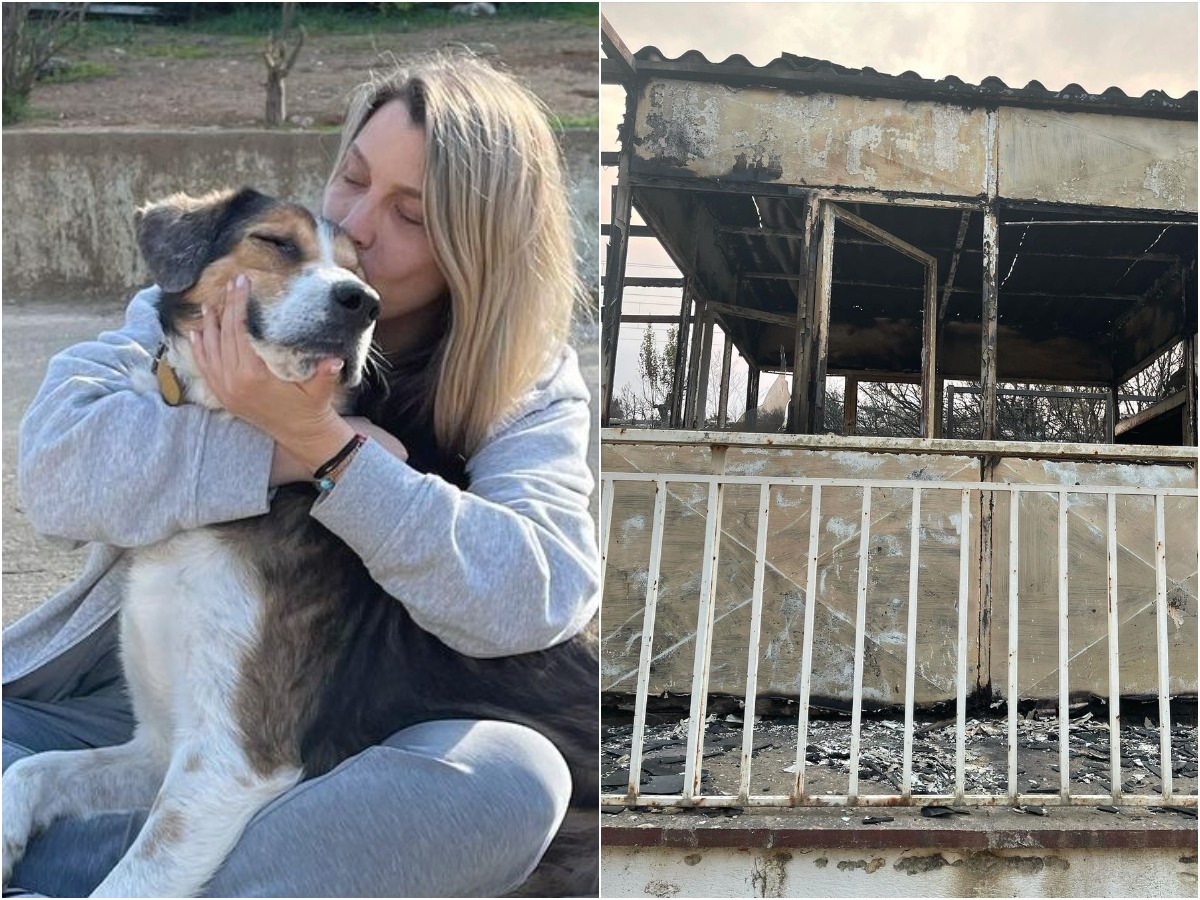 Κατρίνα Τσάνταλη: Το νέο συγκινητικό μήνυμα, μετά την καταστροφή του καταφύγιου ζώων από τη φωτιά