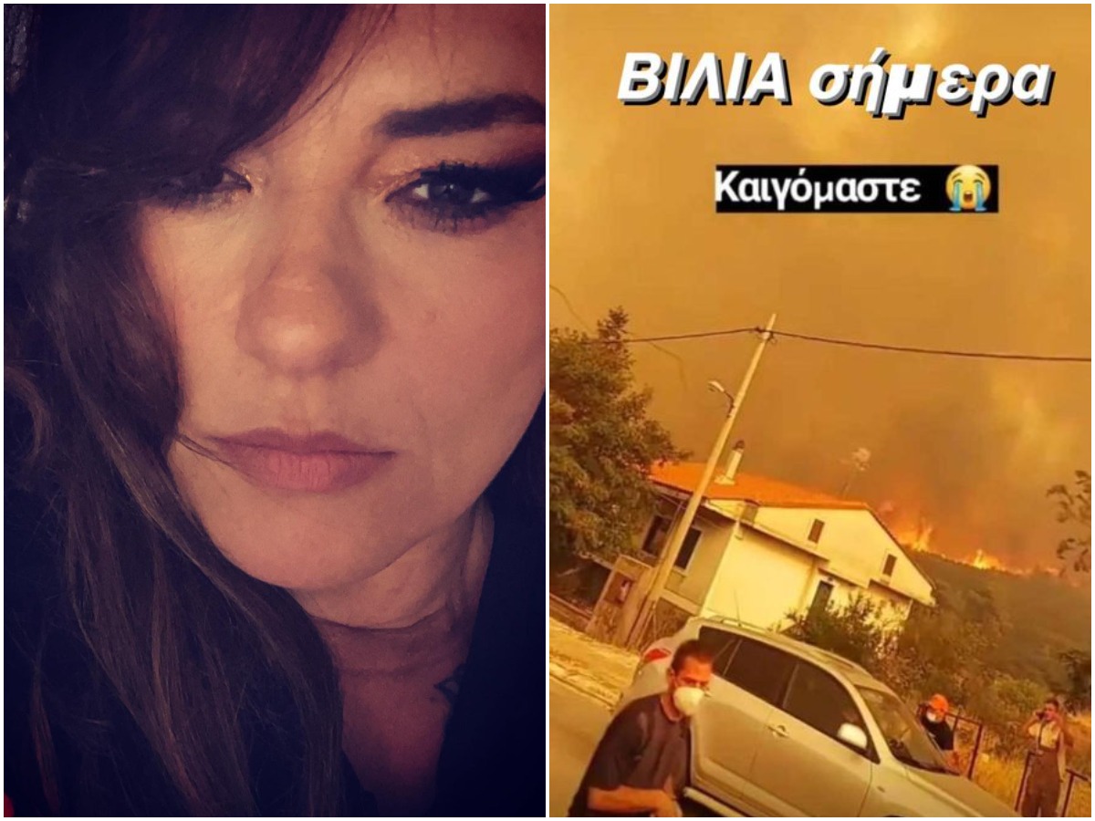 Κατερίνα Ζαρίφη για φωτιά στα Βίλια: “Πονάει η ψυχή μου”