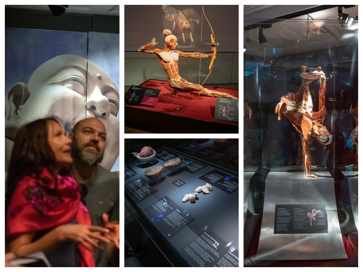 Body Worlds: Μία σπουδαία, διεθνών προδιαγραφών, έκθεση που θα σε βοηθήσει να γνωρίσεις το σώμα σου