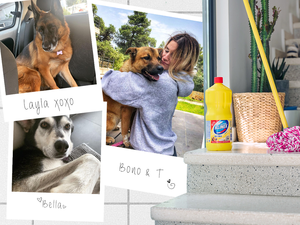 Η δική μου εμπειρία συγκατοίκησης: Πόσο εύκολο (δεν) είναι να «φέρεις βόλτα» ένα σπίτι που μοιράζεσαι με 3 σκυλιά