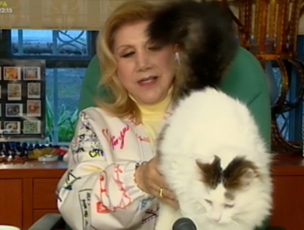 Λίτσα Πατέρα: Επικό σκηνικό on air! Η γάτα της τρύπωσε στο τζάκι και εκείνη της πετούσε πράγματα για να τη διώξει