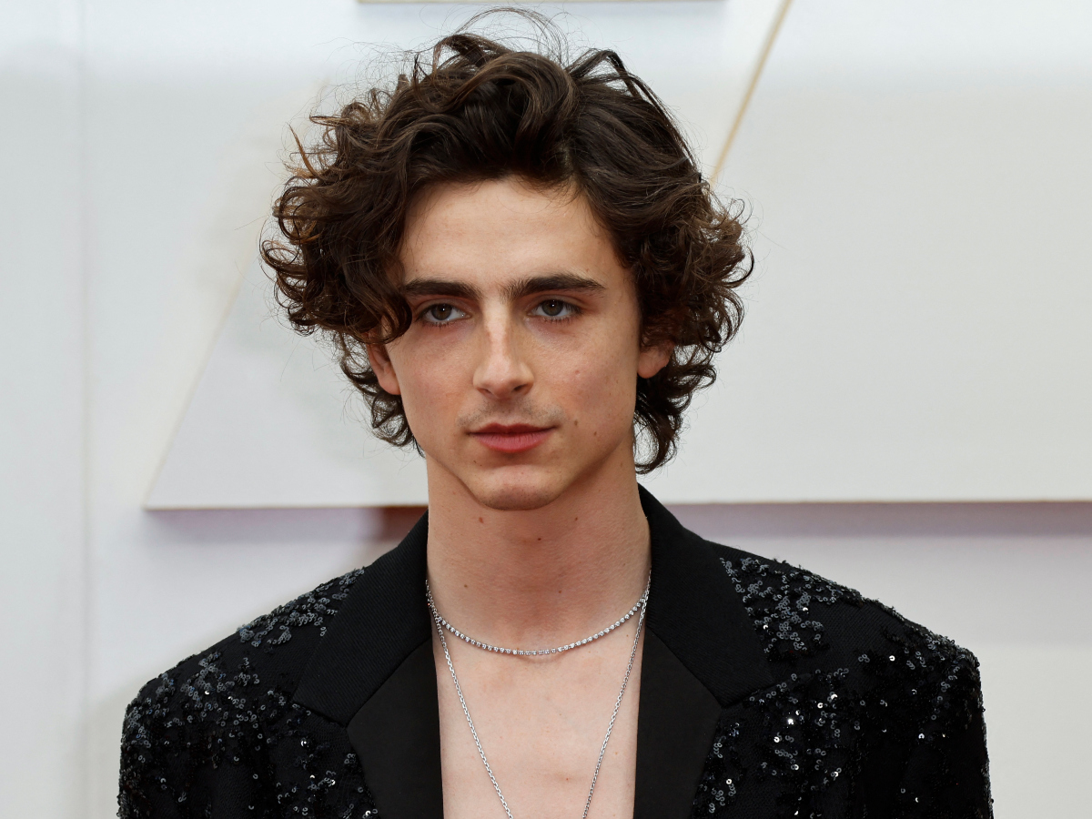 Βραβεία Όσκαρ 2022: O Timothee Chalamet εμφανίστηκε σαν rock star