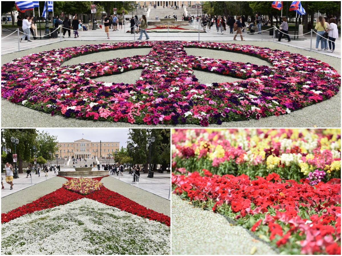Πρωτομαγιά 2022: Η πλατεία Συντάγματος γέμισε λουλούδια – Φωτορεπορτάζ TLIFE