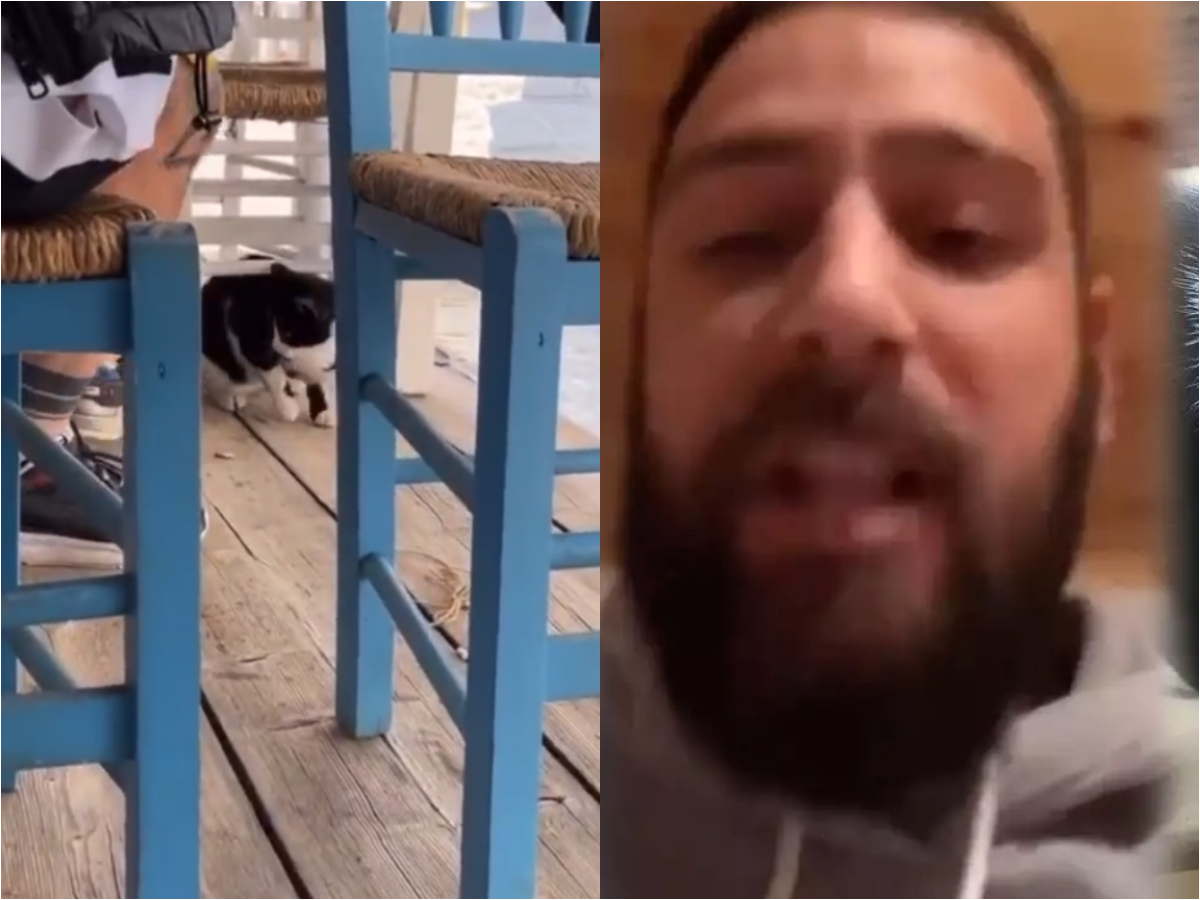 Σοκαριστικό περιστατικό στην Αιδηψό: Άνδρας δελέασε γάτα με φαγητό και την… κλωτσάει στη θάλασσα – Η απάντησή του