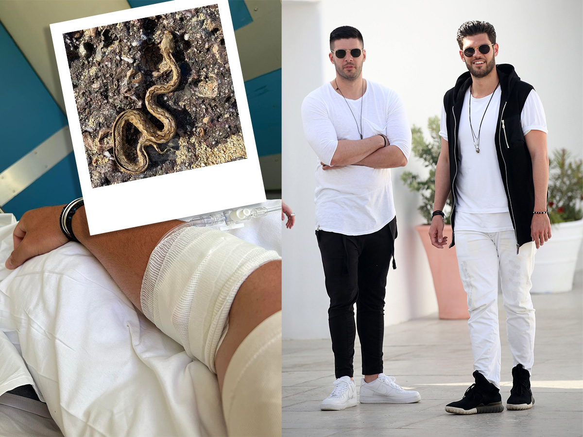 Droulias Brothers: Δάγκωσε φίδι τον Ηλία Δρούλια – Μεταφέρθηκε με αεροδιακομιδή στην Αθήνα από τη Μύκονο