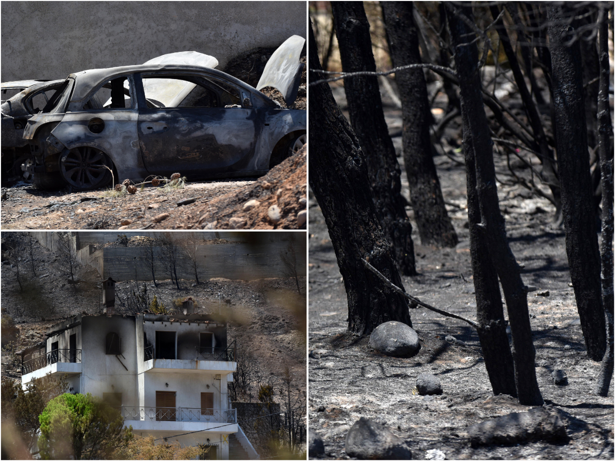 Φωτιά στην Πεντέλη: Η επόμενη μέρα στο Ντράφι – Ο επίγειος παράδεισος που «σκεπάστηκε» με στάχτη