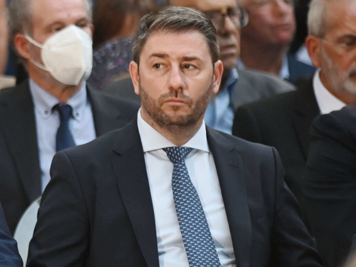 Στο νοσοκομείο εκτάκτως ο Νίκος Ανδρουλάκης: Τραυματίστηκε παίζοντας μπάσκετ στο Ζάππειο