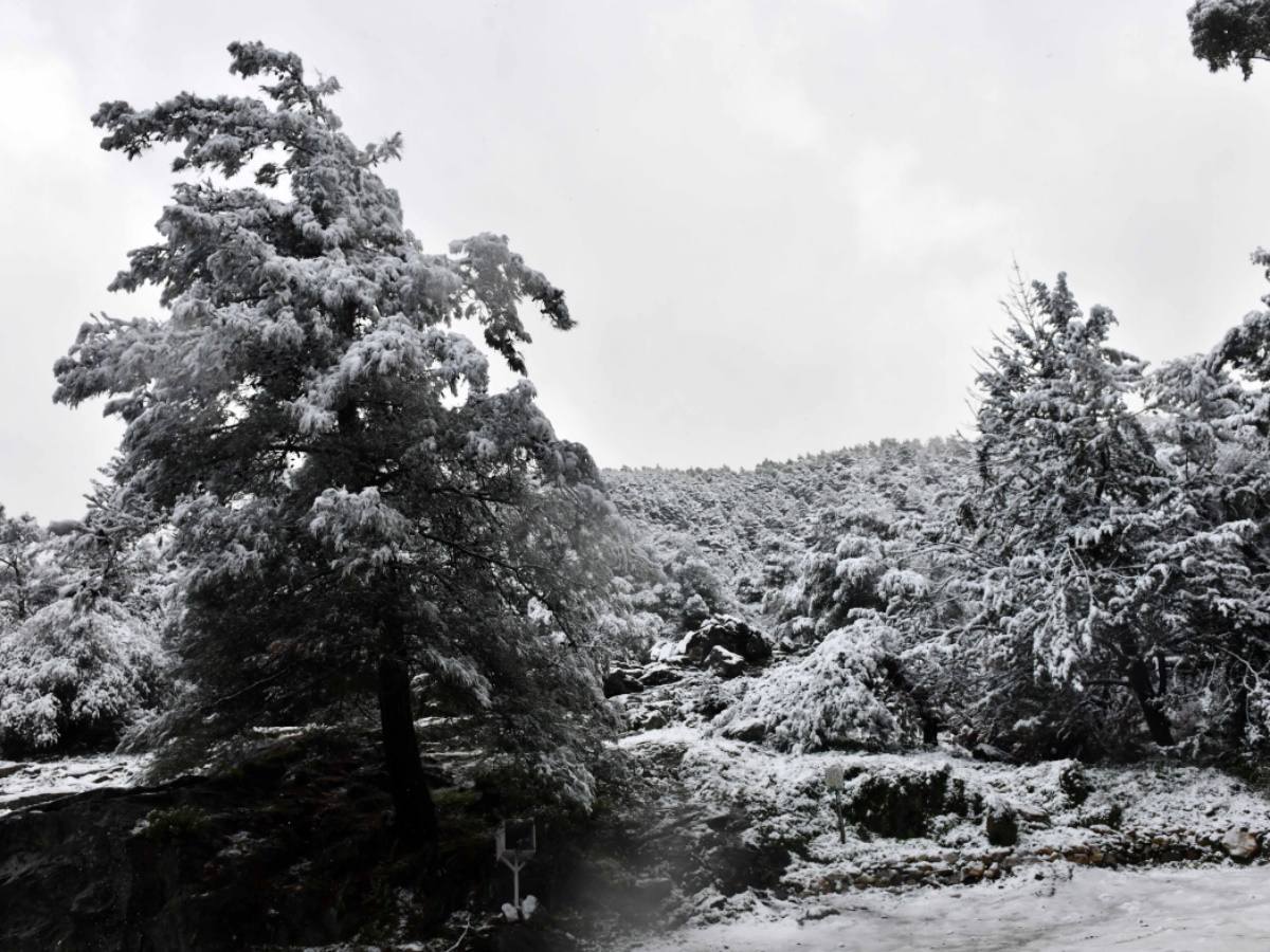 Κακοκαιρία Μπάρμπαρα: Το TLIFE στον χιονισμένο Υμηττό – Μαγικές εικόνες