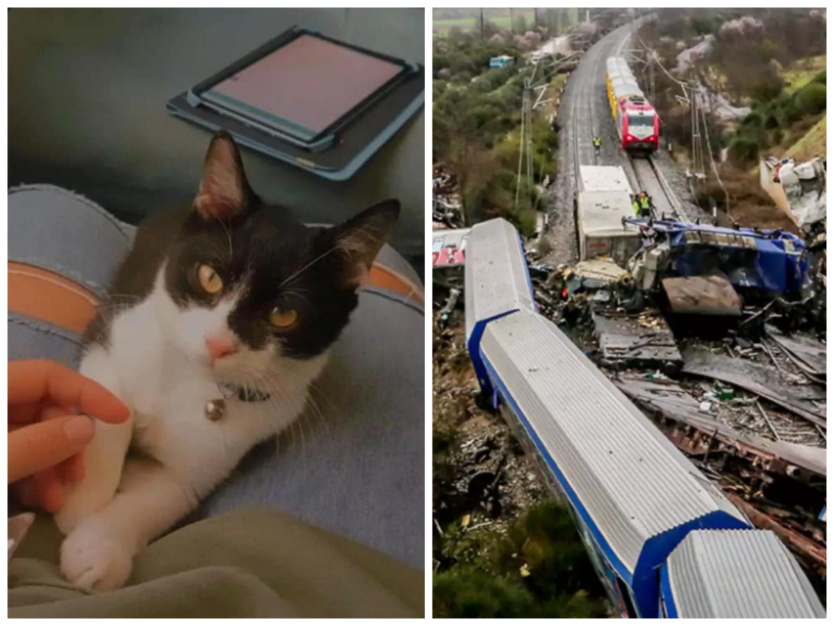 Τέμπη: Σώθηκε από το δυστύχημα και αναζητά τον γάτο της που ταξίδευαν μαζί στο μοιραίο τρένο
