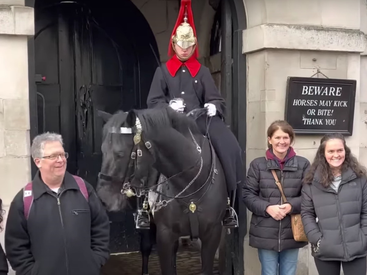 Βρετανία: Άλογο της βασιλικής φρουράς δάγκωσε την κοτσίδα τουρίστριας – Βίντεο