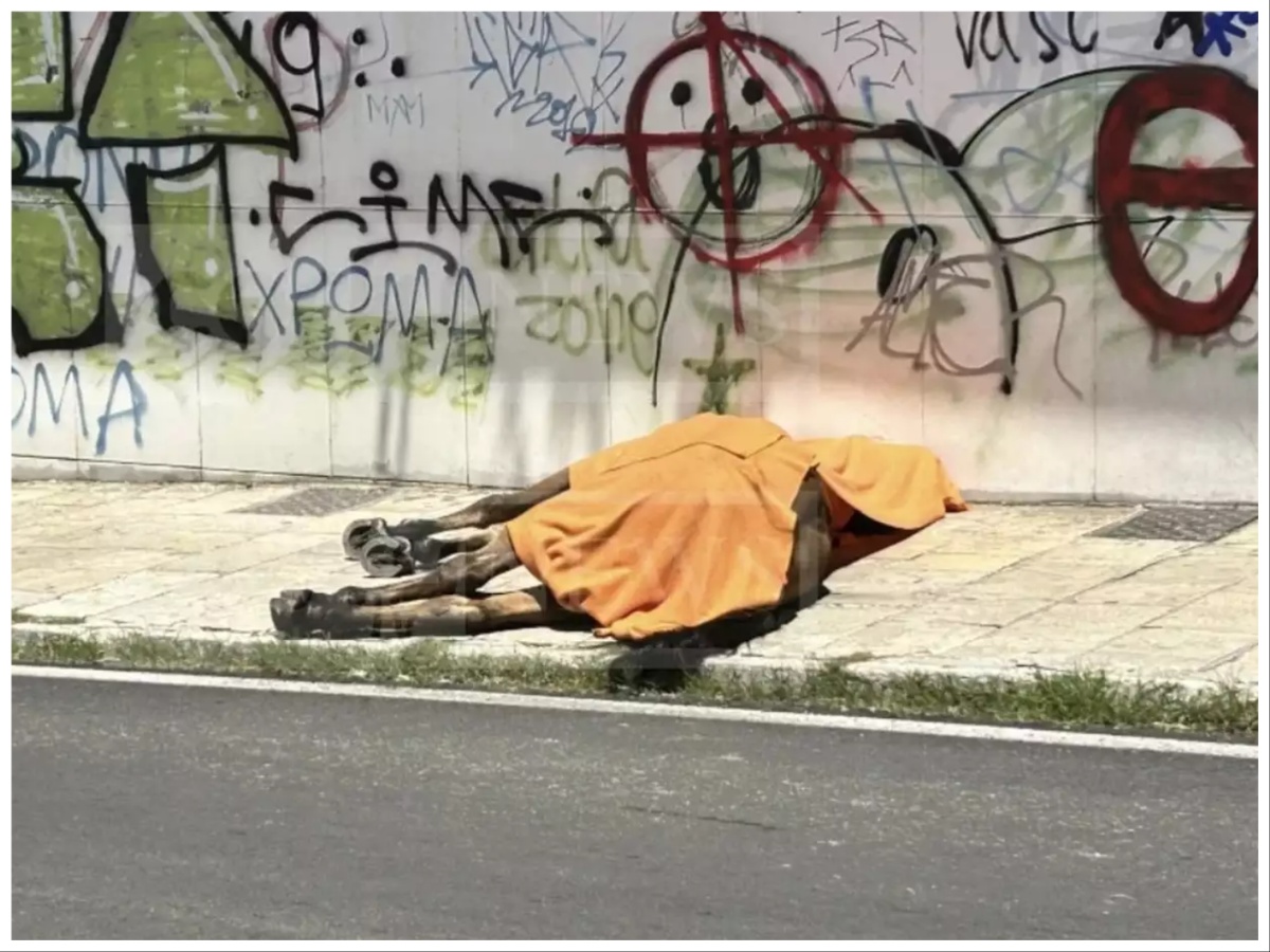 Κέρκυρα: Νεκρό άλογο στο κέντρο της πόλης – Κατέρρευσε την ώρα που έσερνε άμαξα