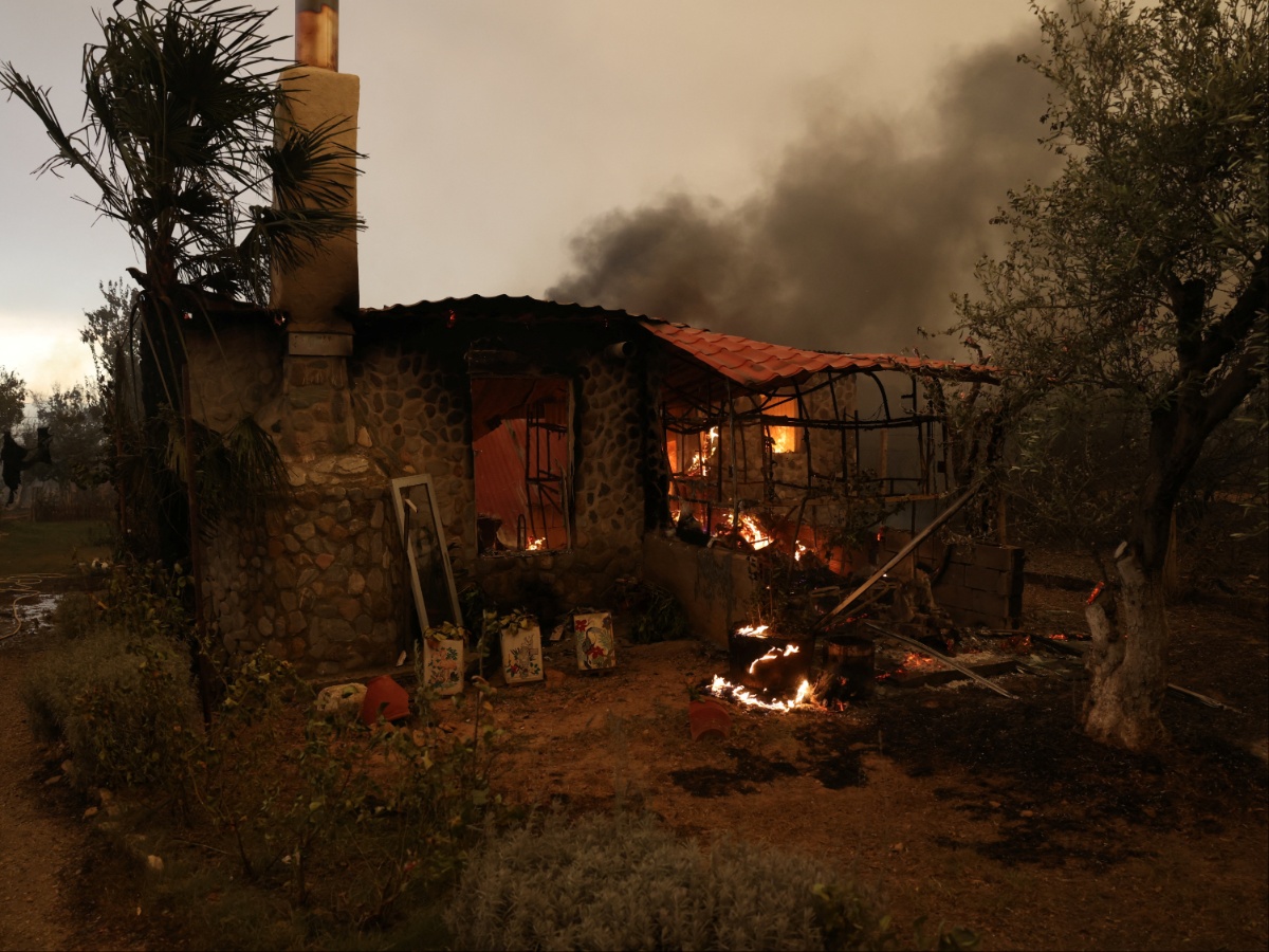 Φωτιά στον Έβρο: Ακόμη ένας μετανάστης βρέθηκε απανθρακωμένος στο δάσος της Δαδιάς