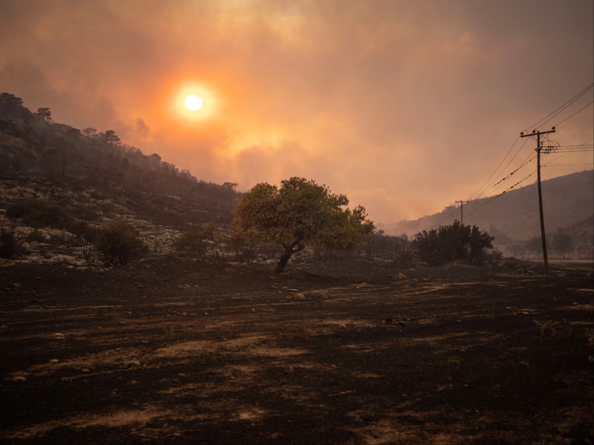 Φωτιά στην Πάρνηθα: Οι φλόγες πέρασαν στον Εθνικό Δρυμό και κατευθύνονται προς Καζίνο – Αγνοείται ηλικιωμένος στη Χασιά