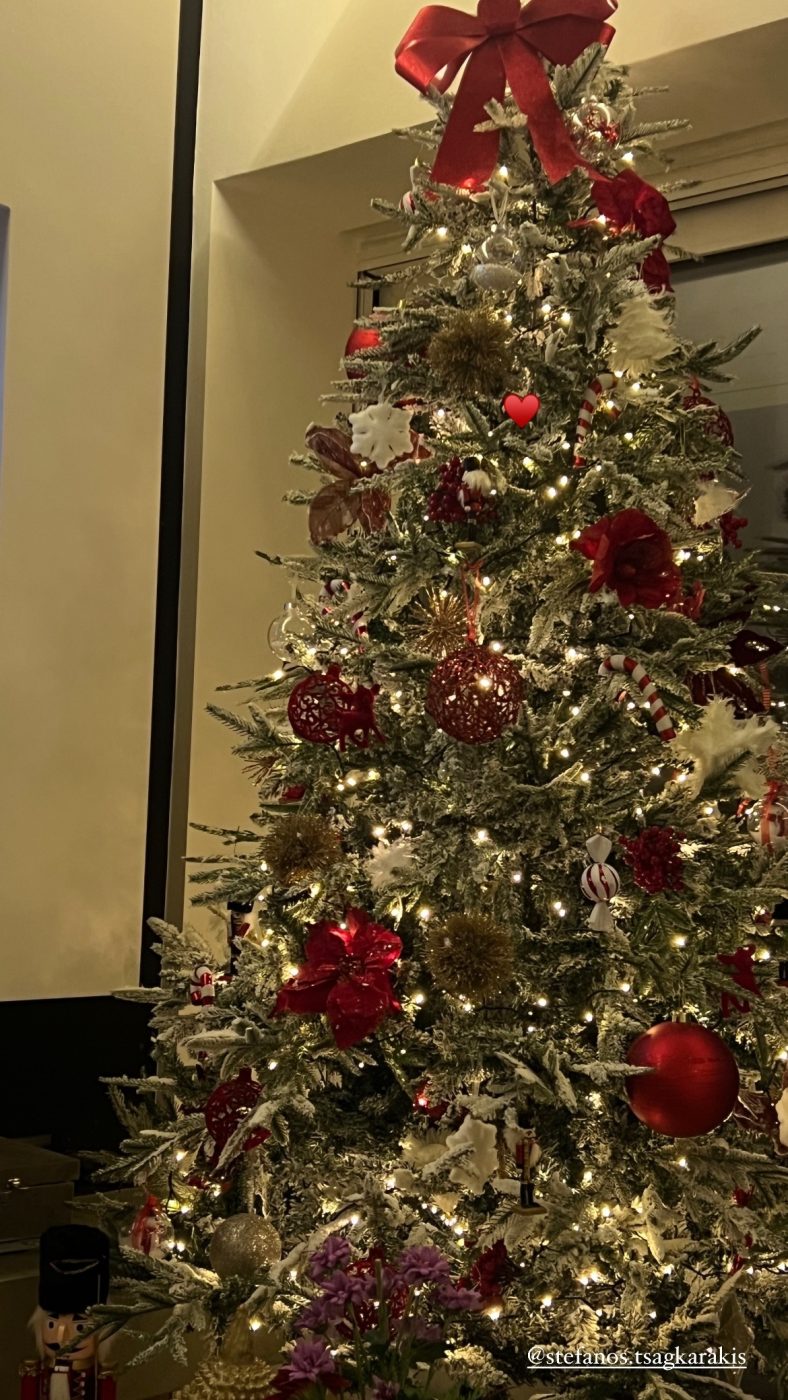 Οι Έλληνες celebrities «υποδέχτηκαν» τα Χριστούγεννα από νωρίς – Τα πρώτα χριστουγεννιάτικα δέντρα