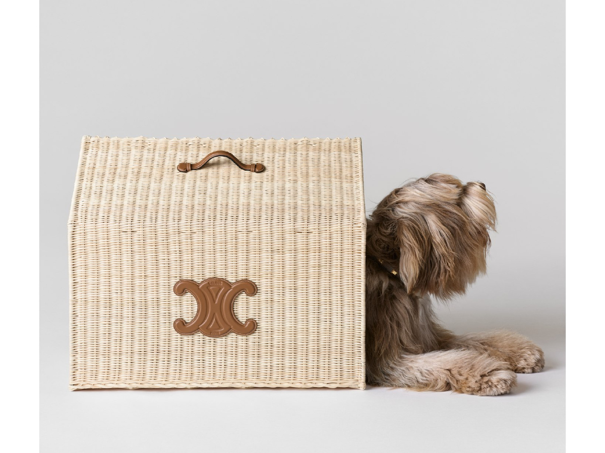 Celine: Αυτή η collection έχει ό,τι χρειάζεται ένας dog-lover