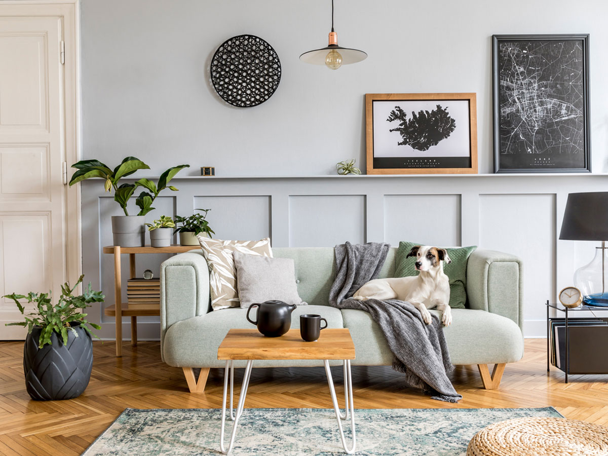 Pet Deco: Πώς να φτιάξεις ένα σπίτι όμορφο και άνετο για εσένα και το κατοικίδιό σου