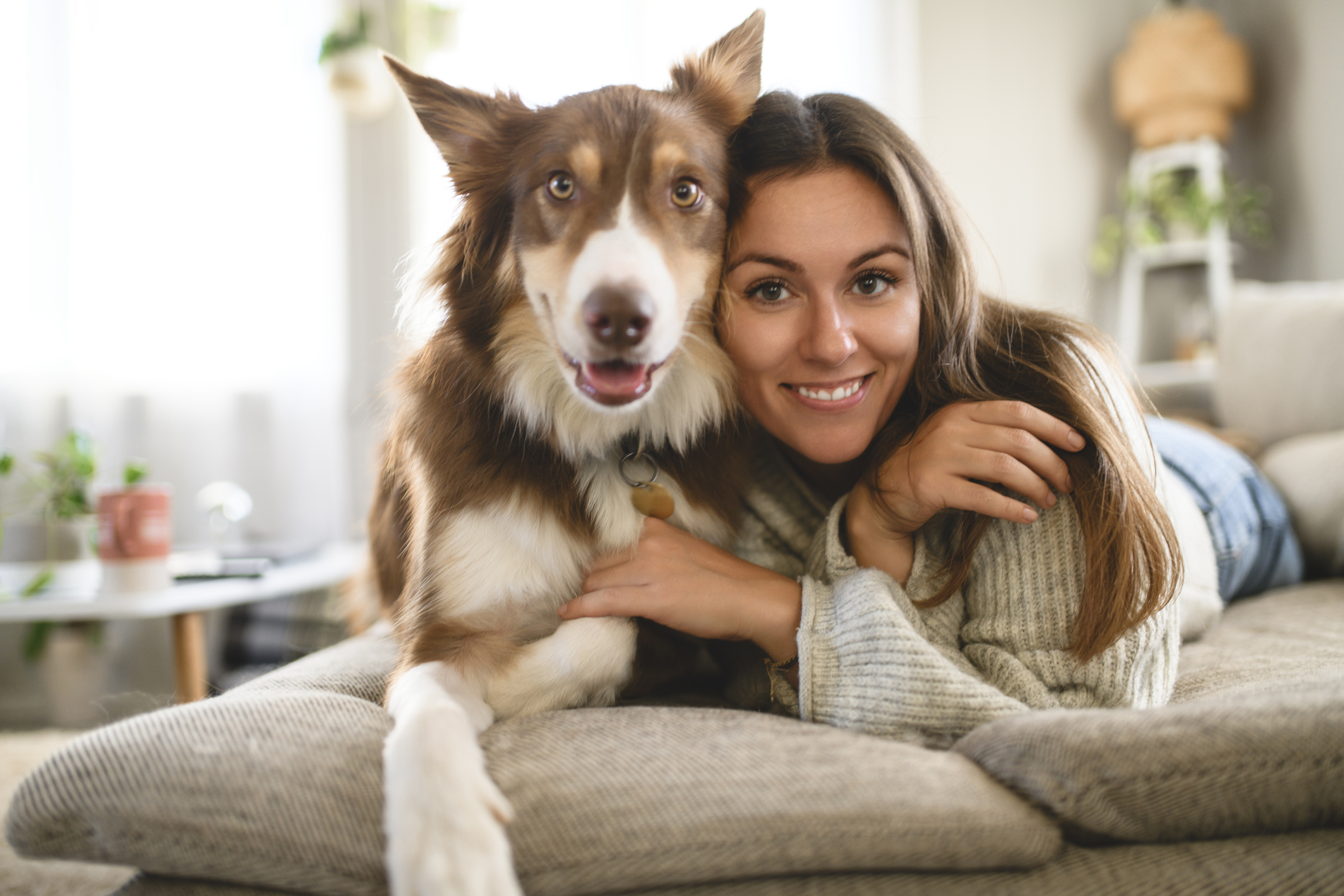 Ζώδια: Προβλέψεις για σήμερα Τετάρτη 29 Οκτωβρίου 2025