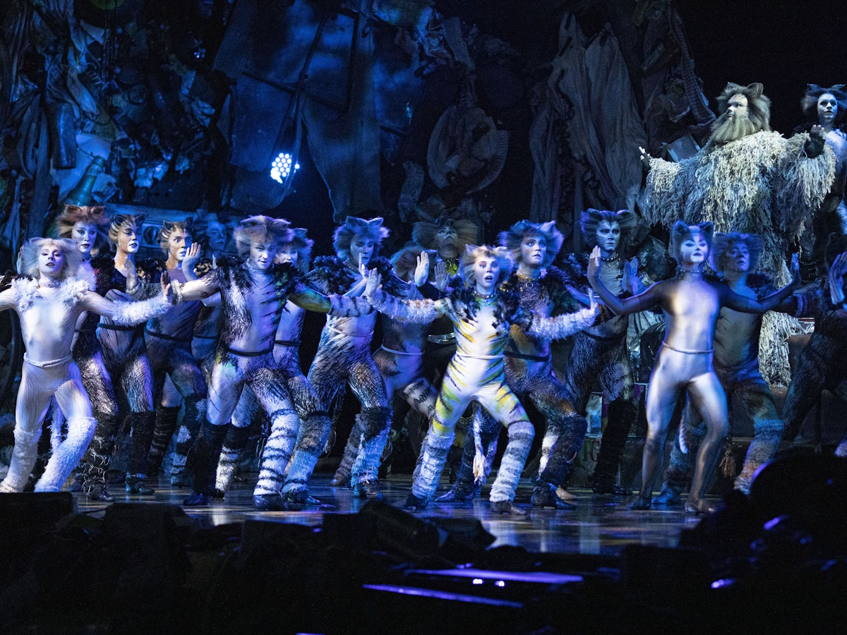 Το CATS επέστρεψε στην Αθήνα κι ενθουσίασε