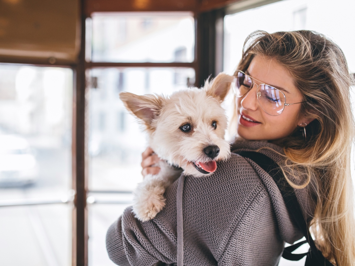 Ζώδια: Προβλέψεις για σήμερα Κυριακή 23 Νοεμβρίου 2025