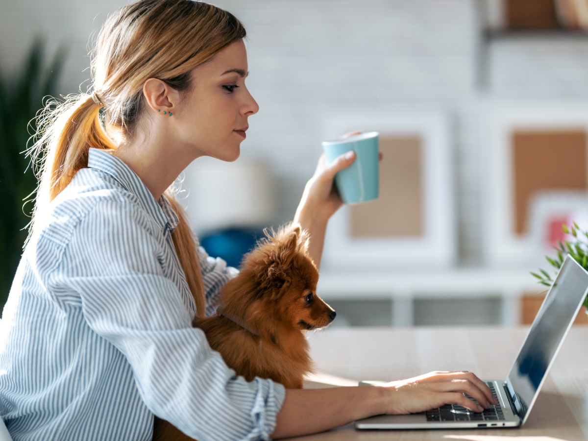 Ζώδια: Προβλέψεις για σήμερα Πέμπτη 29 Ιανουαρίου 2026