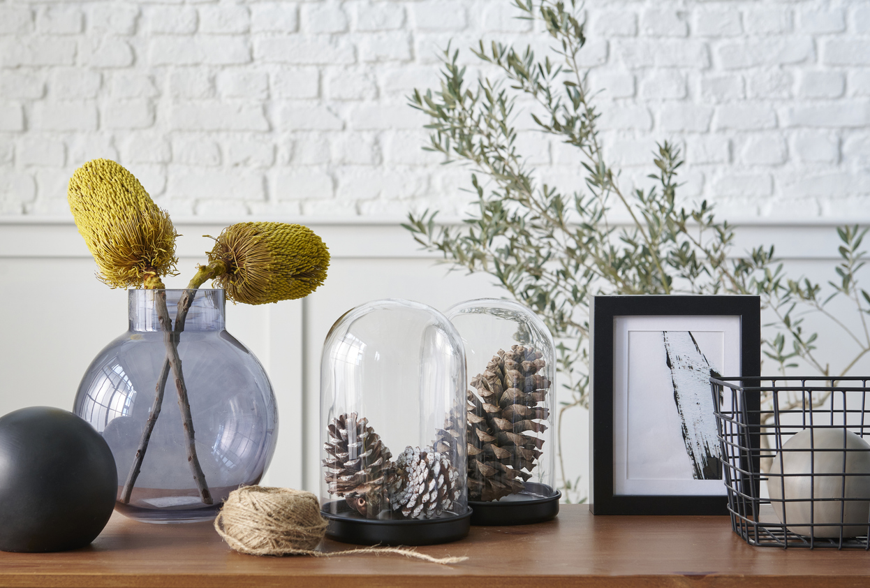 Glass cloches: Η μικρή deco λεπτομέρεια που κάνει κάθε αντικείμενο να μοιάζει πολύτιμο