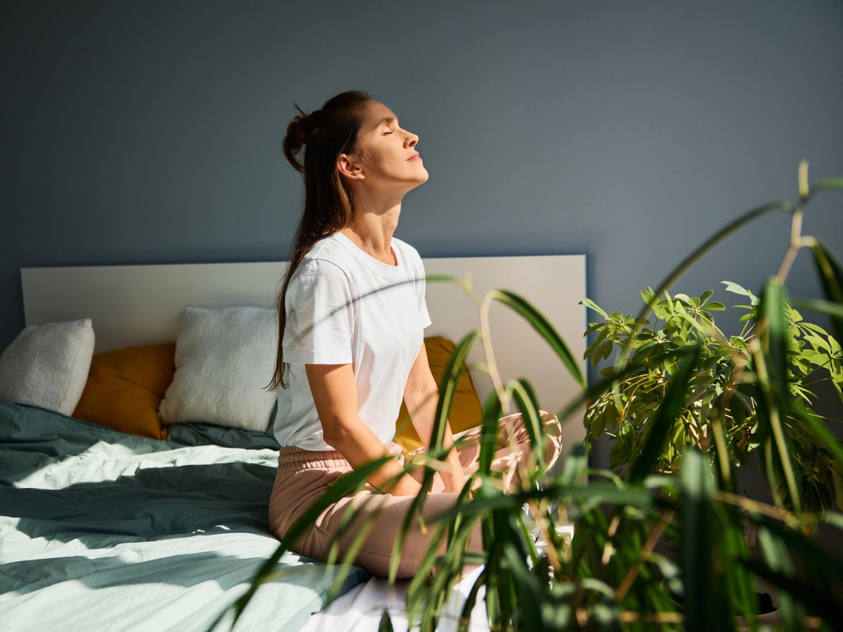 Adaptogens: Το φυσικό «αντίδοτο» στο στρες