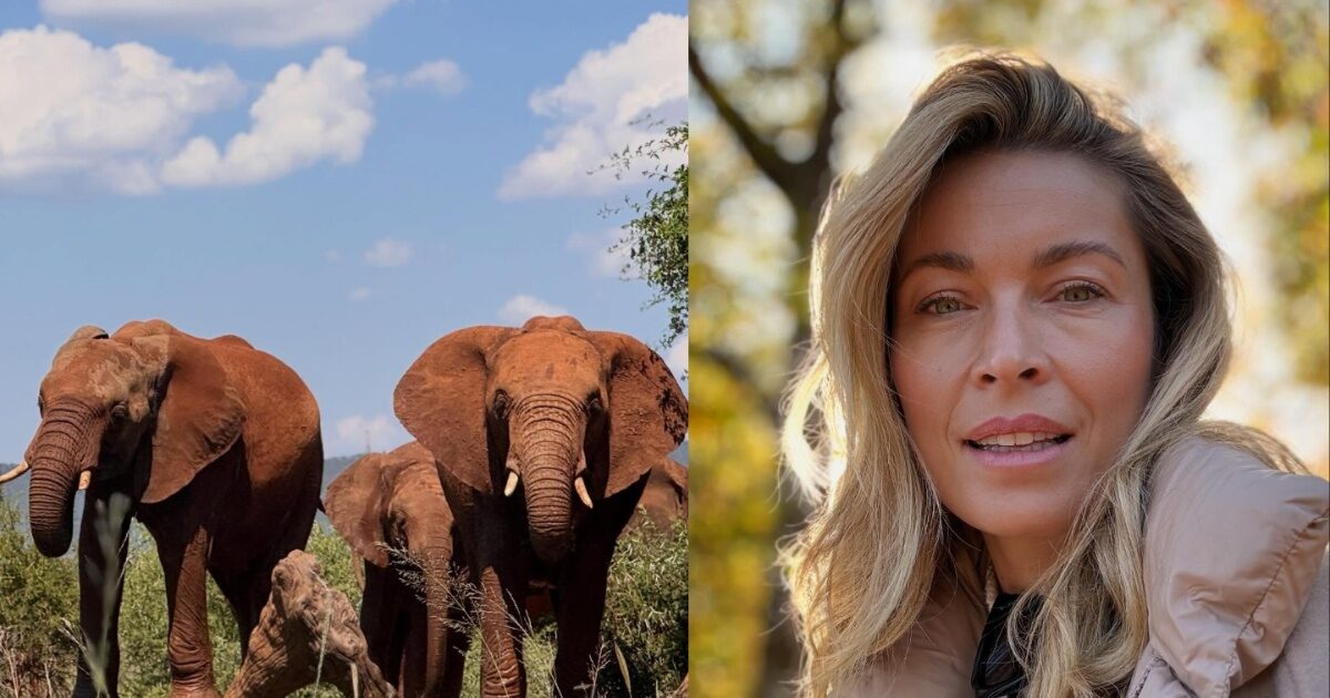 Μαριέττα Χρουσαλά: Μαγεμένη από τη Νότια Αφρική – Οι φωτογραφίες από το σαφάρι
