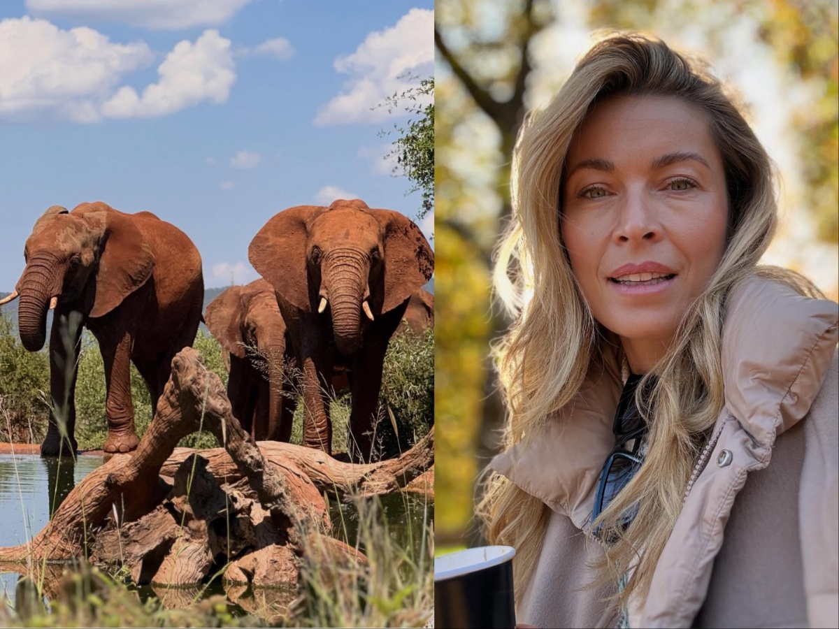 Μαριέττα Χρουσαλά: Μαγεμένη από τη Νότια Αφρική – Οι φωτογραφίες από το σαφάρι