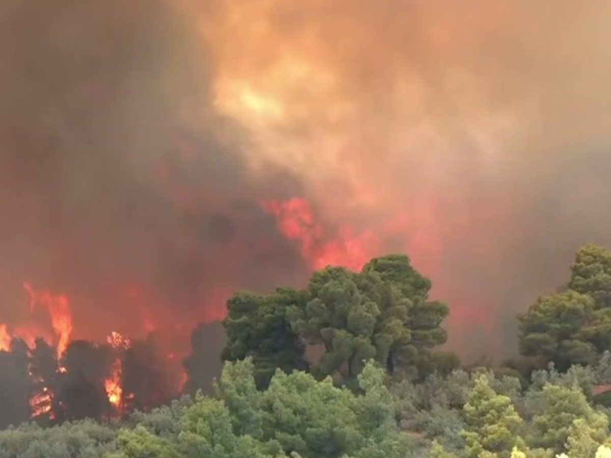 Φωτιά στη Δυτική Αττική: Ρεπόρτερ και εικονολήπτης του ΣΚΑΪ περικυκλώθηκαν από τις φλόγες – «Νίκο, φύγε!» φώναζε η δημοσιογράφος